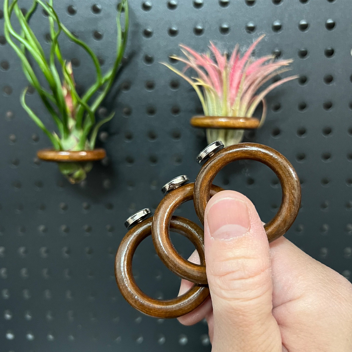 磁吸木环磁吸3.8胡桃木色木环装饰diy冰箱贴画框空气凤梨支架底座,家居饰品,装饰挂钩,淘宝优惠券,粉丝福利购,淘宝优惠卷