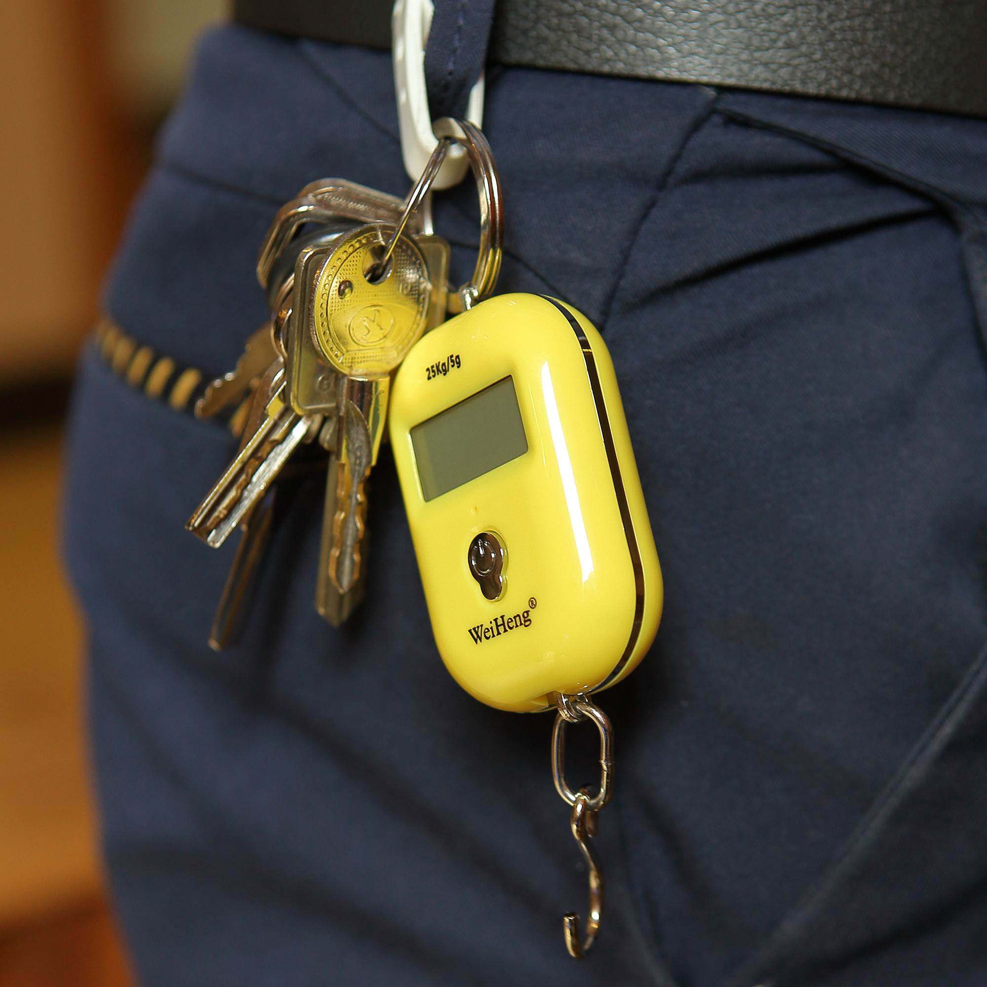 高精度手提电子秤家用迷你便携式买菜小型挂钩行李称勾称鱼器小秤