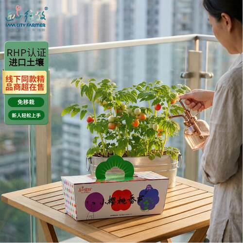 IAM 儿童种植盆栽番茄黄瓜植物观察日记阳台种菜 进口土壤免移栽 - 封面