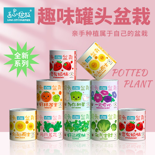 IAM罐头盆栽儿童种植观察进口土