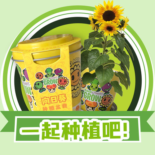 IAM儿童种植小盆栽进口土好养活