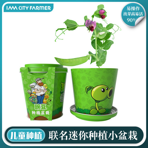 联名款种植小盆栽植物大战僵尸
