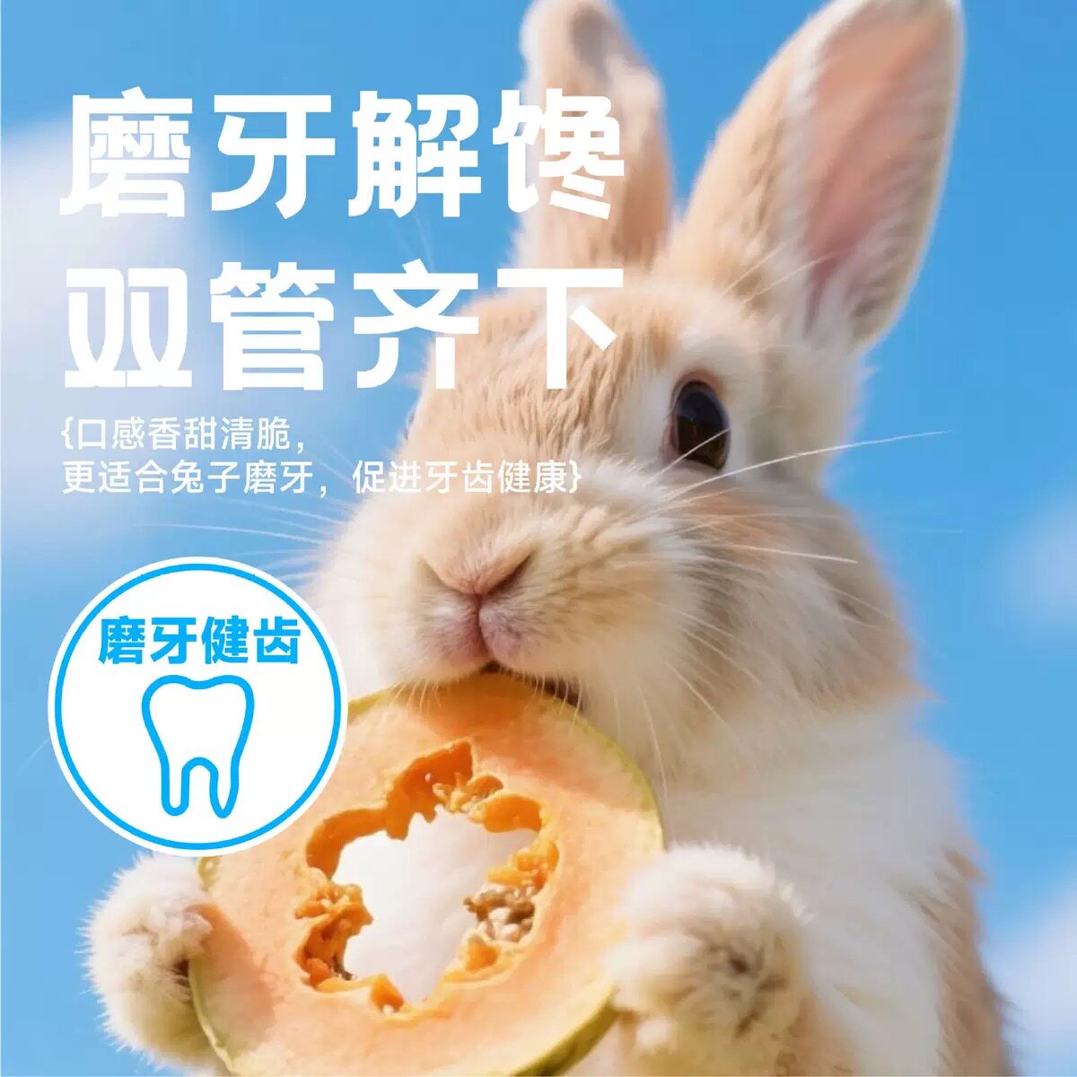 兔子零食兔兔木瓜片干助化消化美毛排毛球仓鼠龙猫磨牙宠物兔零食