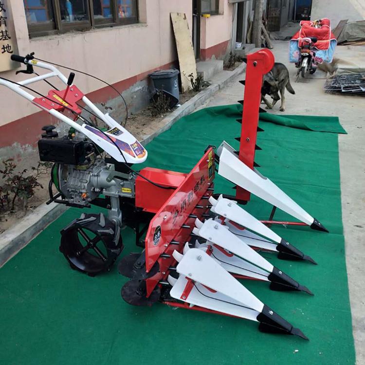 小型自走式牧草收割机 手推式辣椒黄豆割晒机 手扶前置式割稻机
