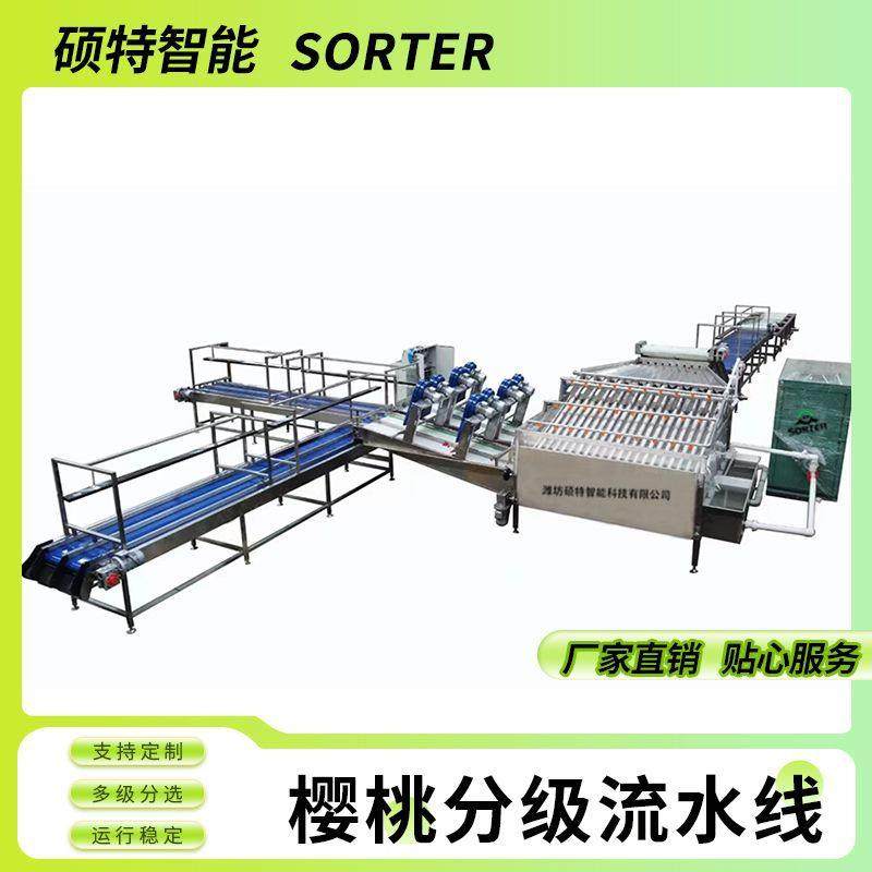 樱桃无损分拣流水线车厘子预冷分选直径选果机圣女果大小分拣机,清洗/食品/商业设备,肉制品加工设备,淘宝优惠券,粉丝福利购,淘宝优惠卷