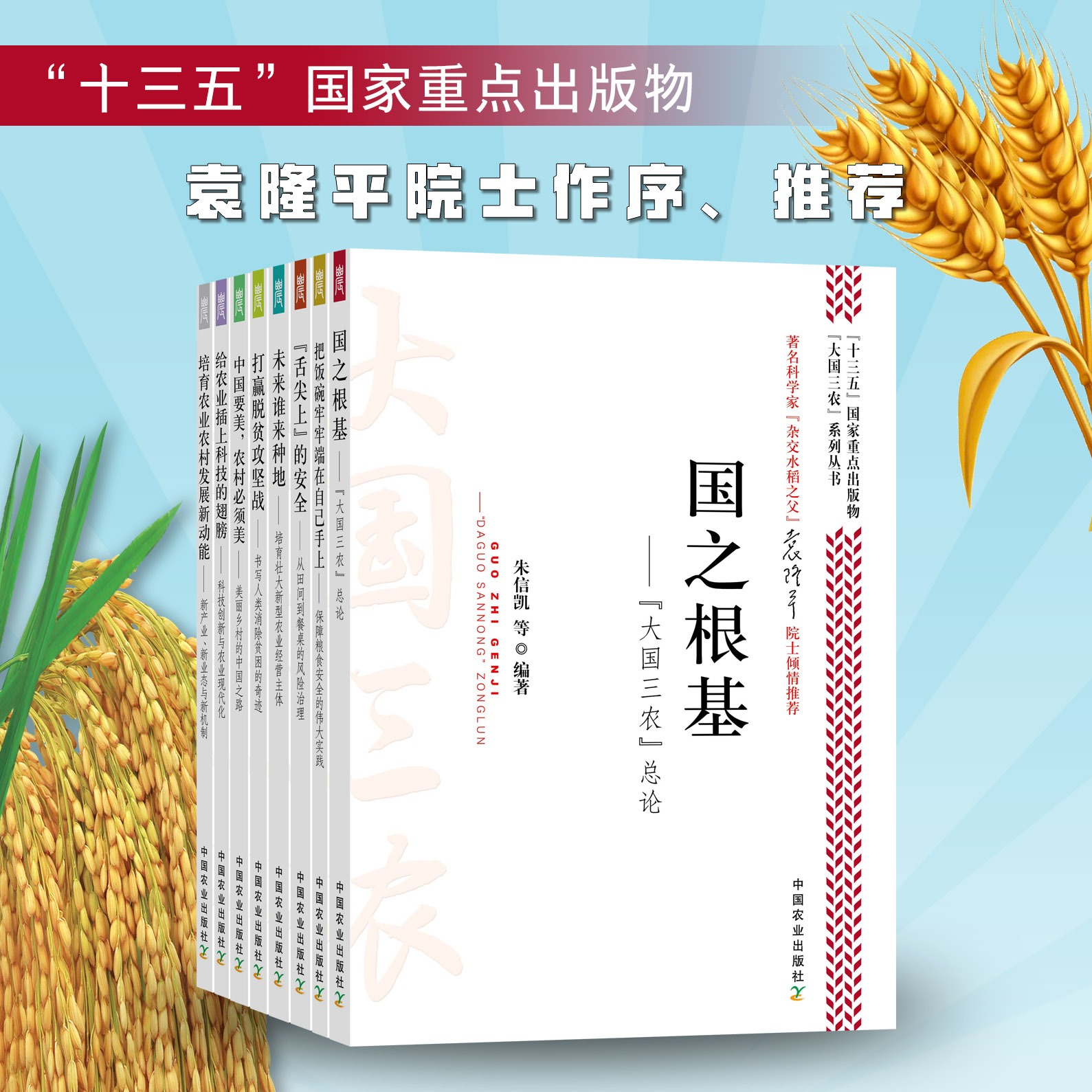 大国三农套装根基培育发展动能