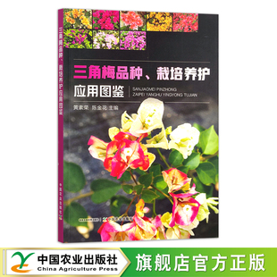 花木 29280 黄素荣 园林 寒梅 梅花 花卉 园艺 陈金花 栽培养护应用图鉴 三角梅品种