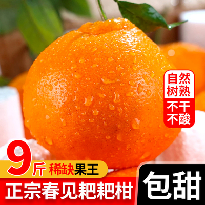 正宗春见耙耙柑，自然树熟零科技