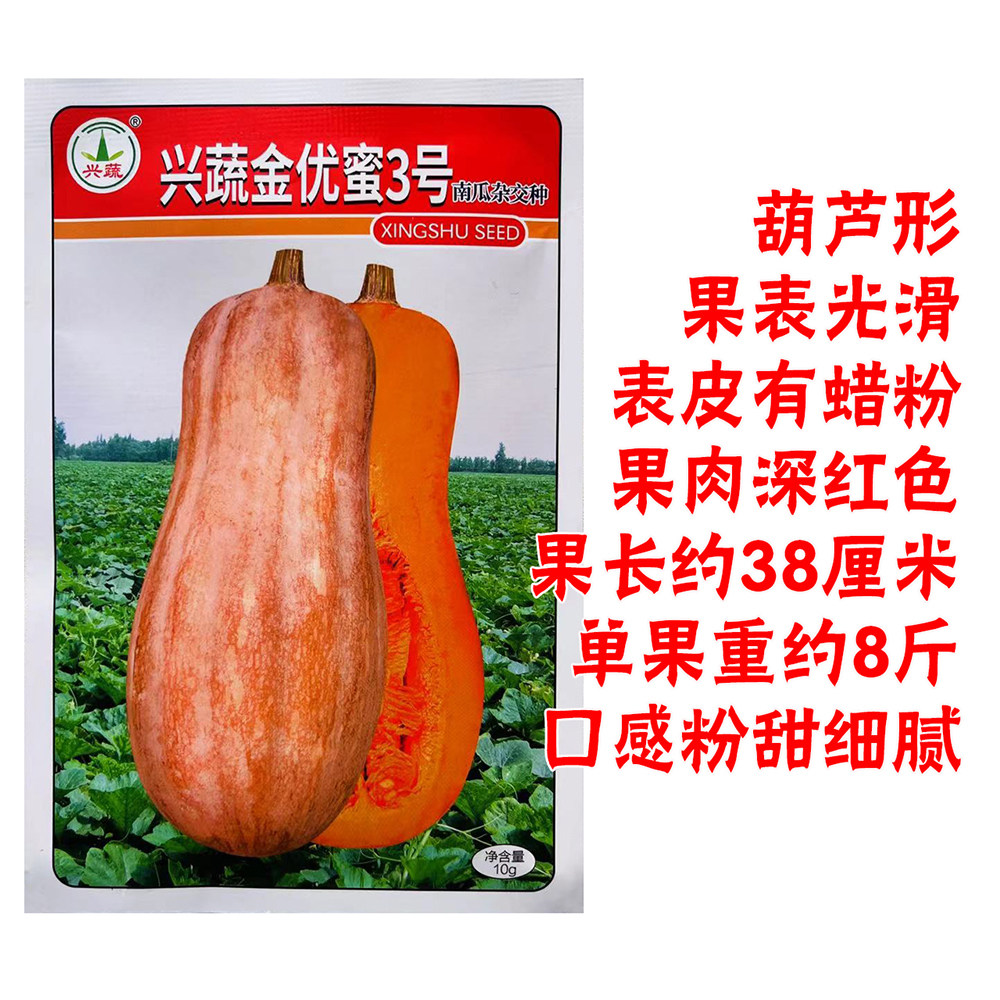 金优蜜3号南瓜种子肉质紧致口感粉甜细腻大果型南瓜种籽 蔬菜种子,农用物资,蔬菜种子/种苗,淘宝优惠券,粉丝福利购,淘宝优惠卷
