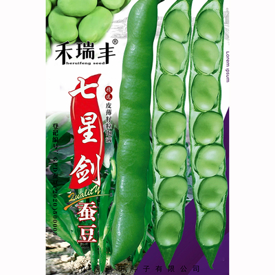 农家北斗七星蚕豆南方大粒种籽