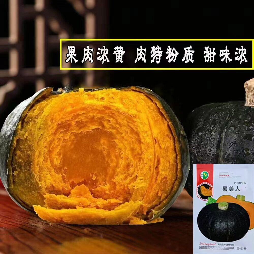 德丰黑美人大果南瓜种子新西兰印家庭园艺种子