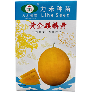 黄皮黄瓤西瓜种子黄金麒麟大果型高端礼品黄肉西瓜大果型西瓜种籽