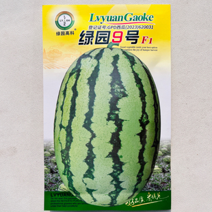 懒汉西瓜种子石头瓜露地瓜易坐瓜薄皮少籽大红瓤耐旱耐运西瓜种子