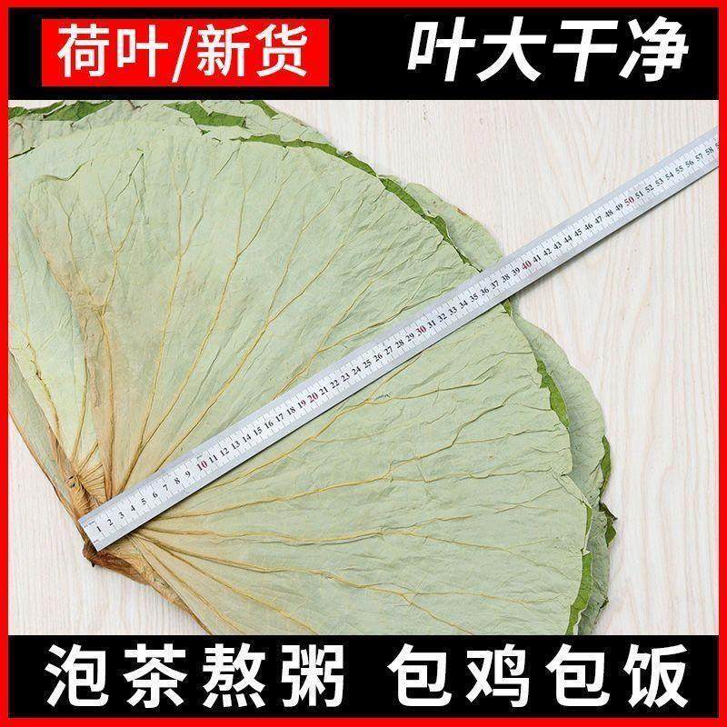 干荷叶整张荷叶大张鸡糯米鸡荷叶茶包鸡包饭新鲜微山湖莲藕叶