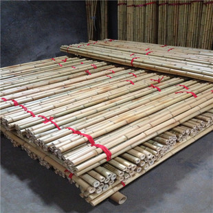 批发竹竿竹子各种规格菜园搭架栅栏家居布景装饰花园竹围墙紫竹