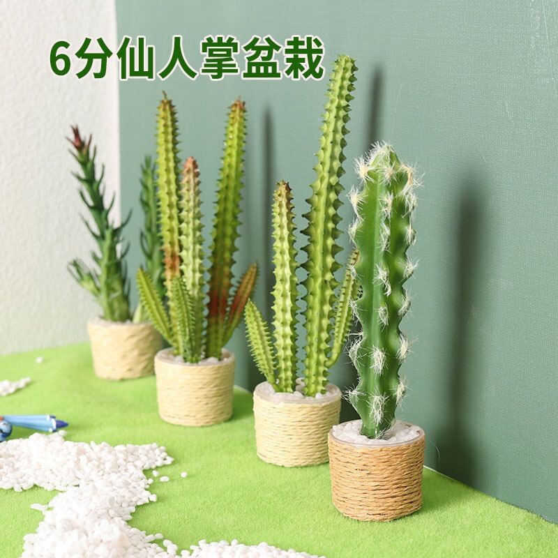 微缩食玩1:6分植物盆栽仙人掌迷你模型bjd娃娃屋dollhouse袖珍DIY