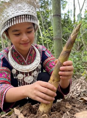 50种食用春笋竹子苗冬笋雷竹楠竹甜龙笋赖婆鸡窝笋刺竹凉笋马蹄笋