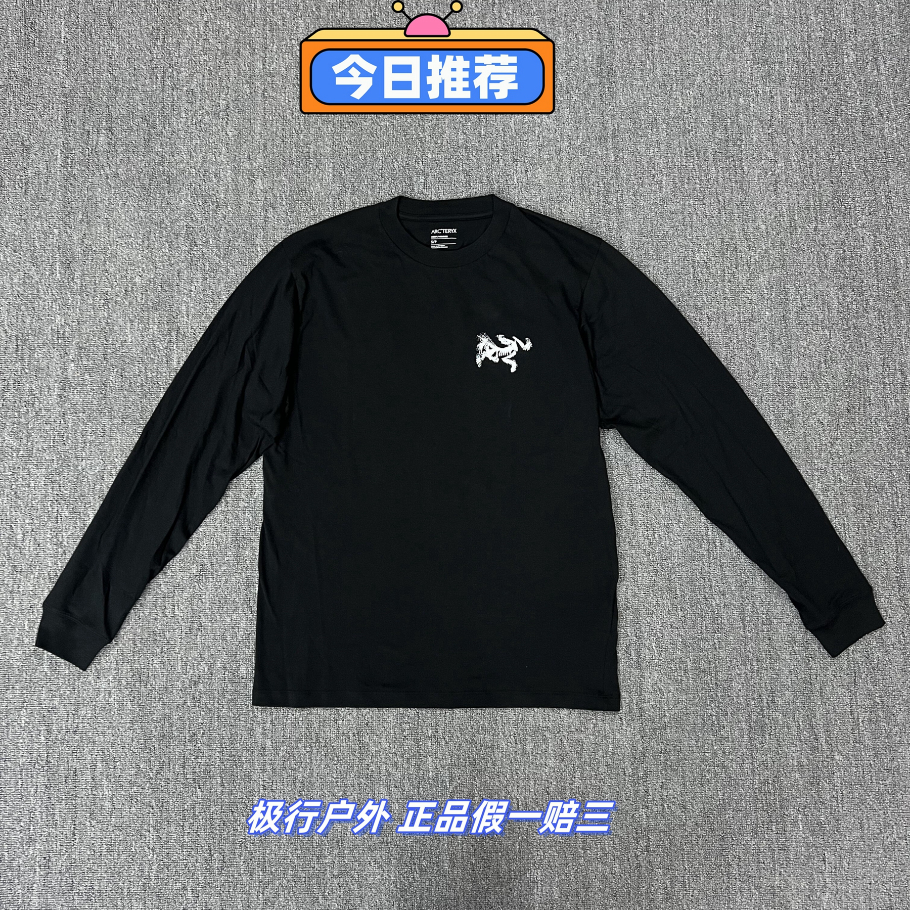 正品现货 ARC'TERYX始祖鸟 KRAGG SL 印花匹马棉透气长袖T恤