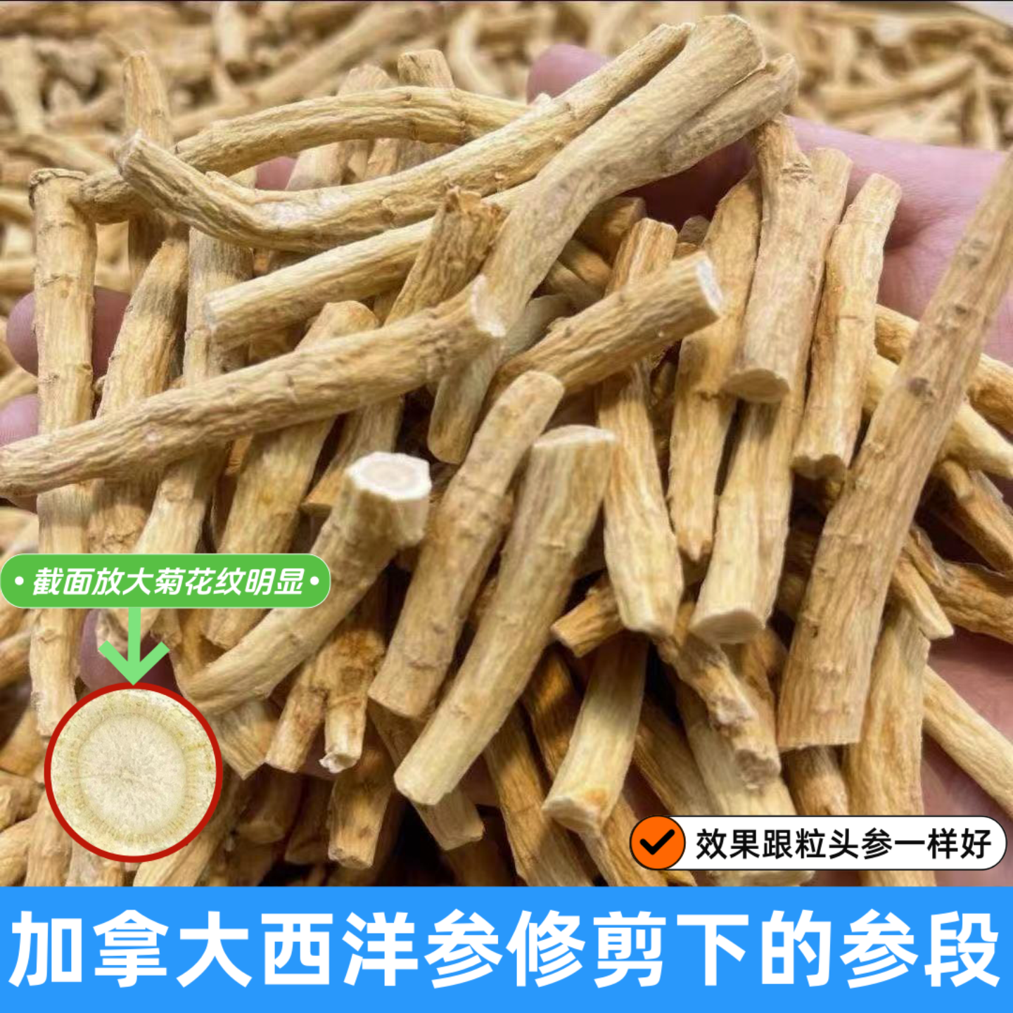 西洋参腿丁根加拿大进口八百光花旗参修剪参腿中段大节煲汤泡水