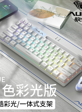 AULA狼蛛F3061迷你轻音有线键盘白色RGB炫酷彩光办公游戏键盘鼠标