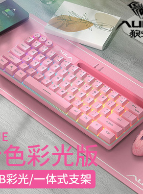 AULA狼蛛F3061迷你轻音有线键盘粉色RGB炫酷彩光办公游戏键盘鼠标