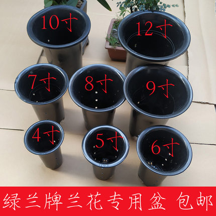 绿兰塑料兰花专用盆 加高加厚兰盆 实用兰花寸盆通风透气塔型清仓