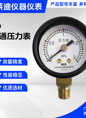 北京布莱迪 压力表Y-40   0-2Mpa  R18    ZG1/8  径向  出口日本
