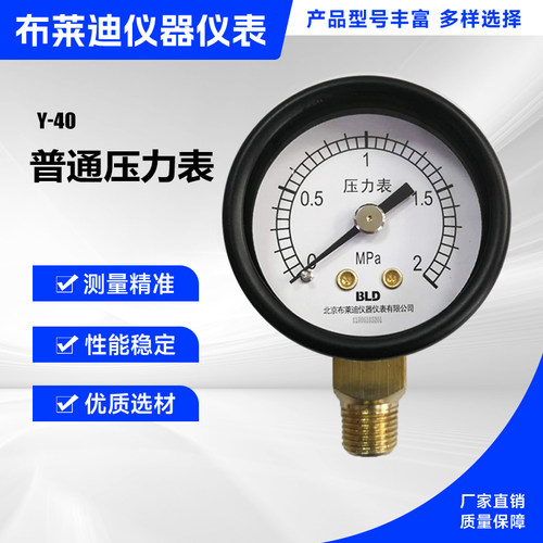 北京布莱迪 压力表Y-40   0-2Mpa  R18    ZG1/8  径向  出口日本