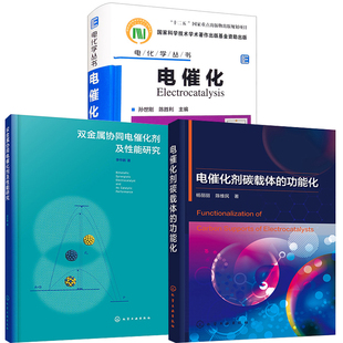 电化学丛书电催化电催化剂碳载体 全3册 功能化双金属协同电催化剂及性能研究电催化基础过程教程科学研究技术研发科技工作者