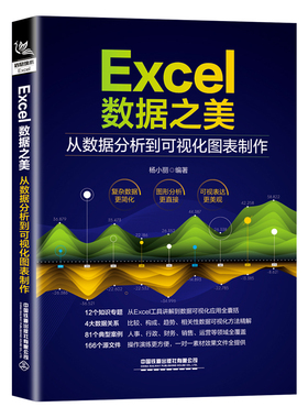 正版书籍 Excel数据之美：从数据分析到可视化图表制作 杨小丽中国铁道出版社9787113285968 89.8
