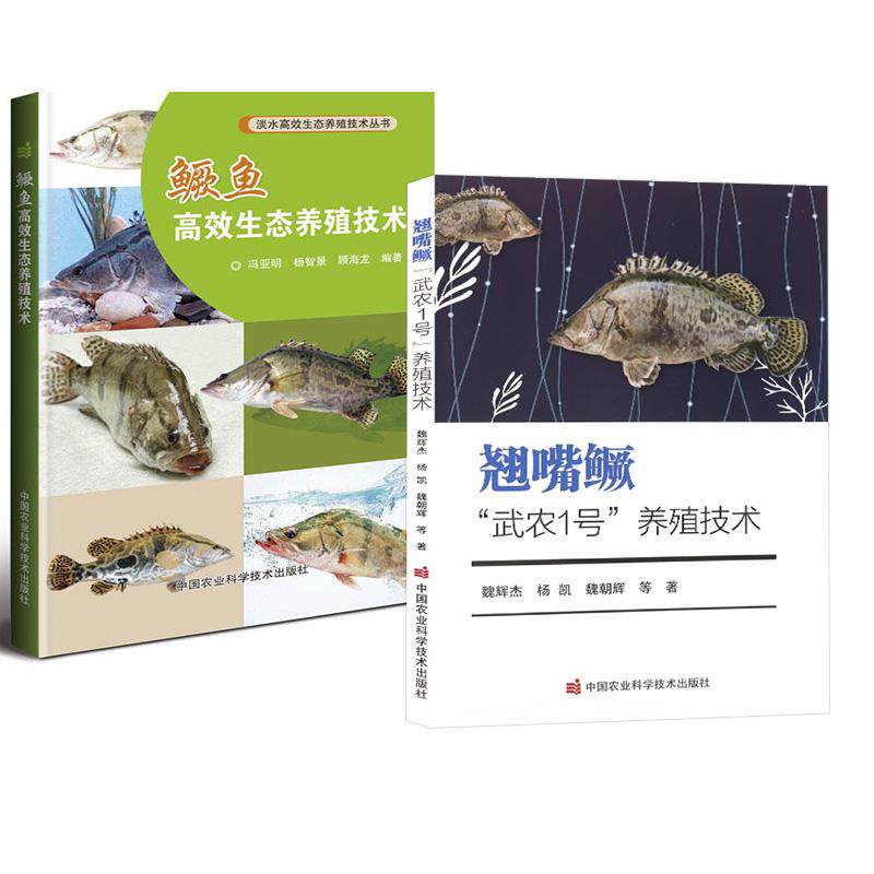 【全2册】翘嘴鳜武农1号养殖技术 魏辉杰 等+鳜鱼高效生态养殖技术 冯亚明杨智景顾海龙 水产高效健康养殖书 养鱼大全书鱼病防治书