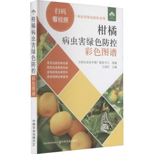 柑橘病虫害绿色防控彩色图谱 王进军 柑橘黄龙病防控柑橘黄化脉明病防控温州蜜柑萎缩病防控每种病虫害防治农业种植技术书籍