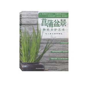 菖蒲盆景种植养护艺术：文人案头清供雅玩 初舍、朱长虹中国农业出版社9787109277342正版书籍