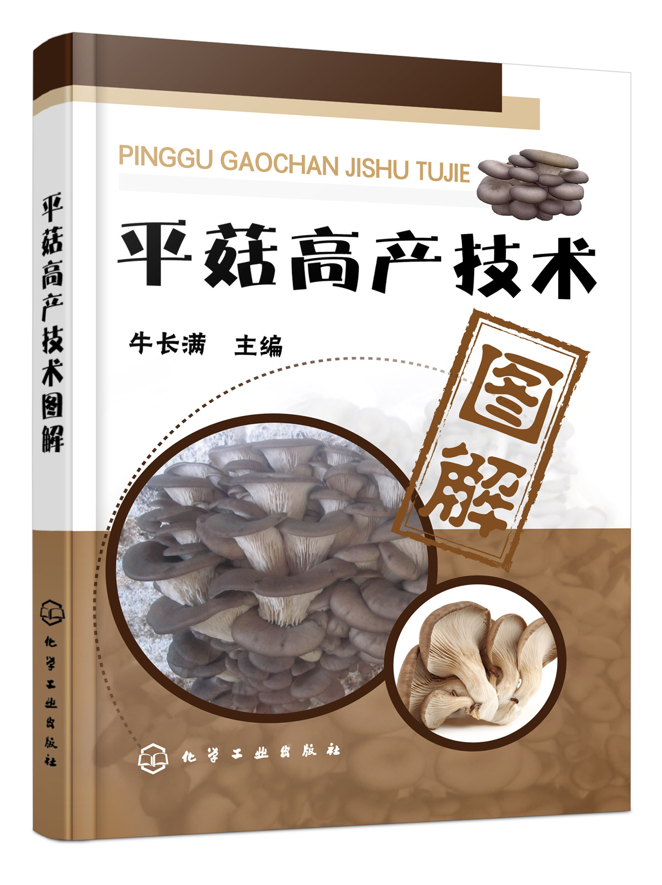 平菇高产技术图解 食用菌菌种生产技术平菇实用栽培技术集锦 平菇 栽培技 高产量种植 菌菇食品规模化生产书 化学工业出版社使用感如何?