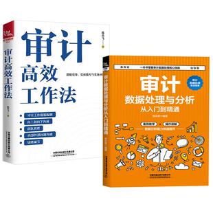 【全2册】审计数据处理与分析从入门到精通+审计高效工作法 审计实务统计学概论基础商务与经济责任统计学案例准则书籍