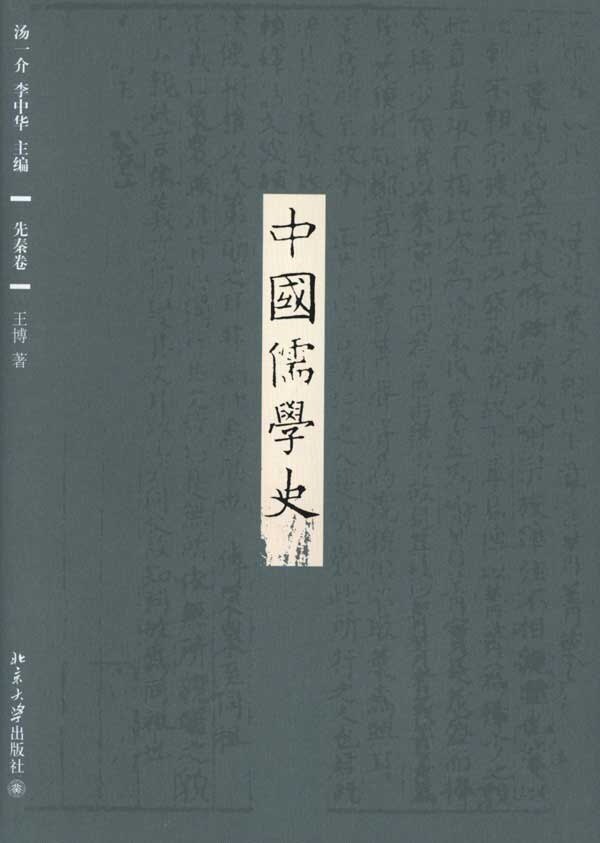 正版书籍 中国儒学史 汤一介，李中华北京大学出版社9787301105702