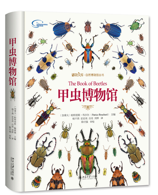 正版书籍 甲虫博物馆 （加拿大）帕特里斯·布沙尔北京大学出版社9787301279748