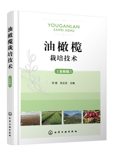 正版书籍 油橄榄栽培技术（全彩版） 邓煜、张正武  主编化学工业出版社9787122406224 80.00