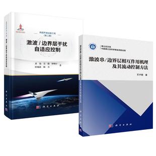 激波串 边界层干扰自适应控制 激波 边界层相互作用机理及其流动控制方法 全2册