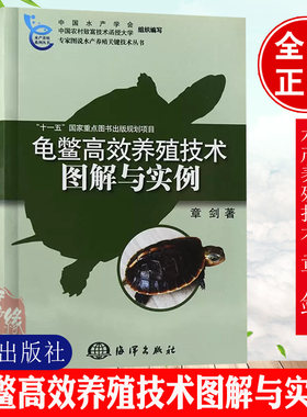 正版书籍 龟鳖高效养殖技术图解与实例 乌龟鳄龟养龟书籍资料大全知识龟饲料饲养繁育繁殖冬眠常见病白眼病相关知识指南