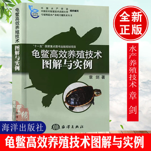 乌龟鳄龟养龟书籍资料大全知识龟饲料饲养繁育繁殖冬眠常见病白眼病相关知识指南 龟鳖高效养殖技术图解与实例 正版 书籍