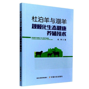 养羊技术书籍大全杜泊羊湖羊规模化生态健康养殖技术羊规模饲养养殖杜泊羊湖羊规模健康养殖舍饲养殖羊舍建设日常饲养管理肉羊繁育