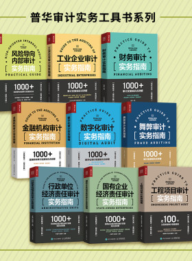 【全9册】数字化审计实务指南财务审计实务指南风险导向内部审计实务指南工程项目审计实务指南工业企业审计实务指南国有企业经济