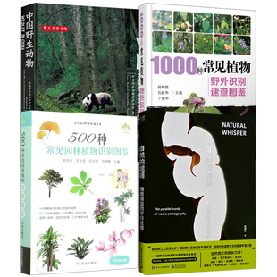 全4册 呢喃微距摄影 500种常见园林植物识别图鉴典藏版 自然 版 1000种常见植物野外识别速查图鉴中国野生动物书 平行世界精装