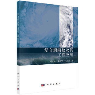 正版书籍复合熵函数及其工程应用刘桂林,陈柏宇,王莉萍自然科学 数学 数学理论科学出版社