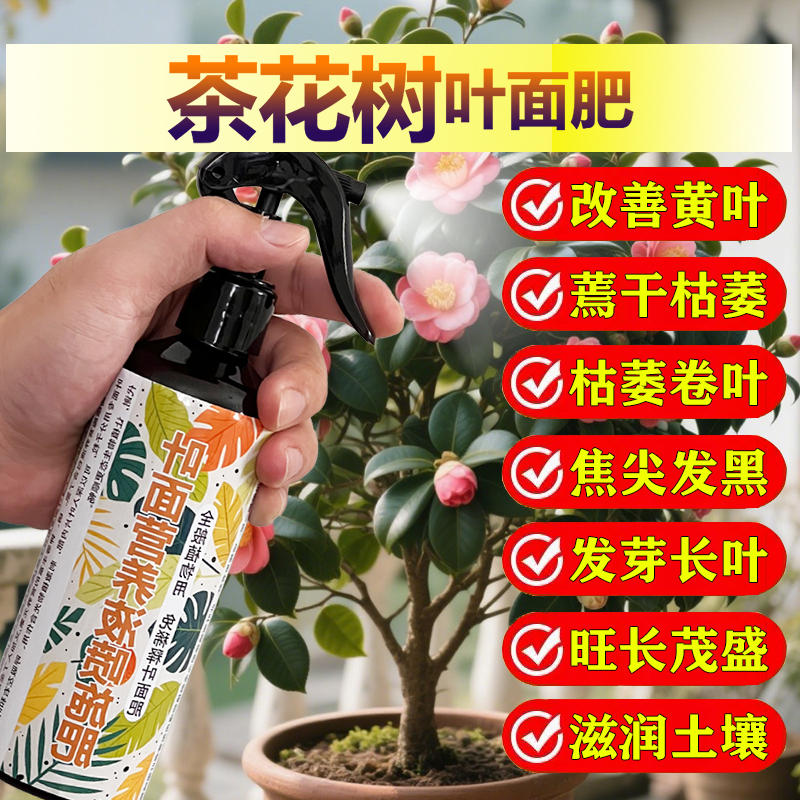 茶花树专用肥料盆栽树苗长新叶养殖山茶花肥营养液孕育花苞花肥料