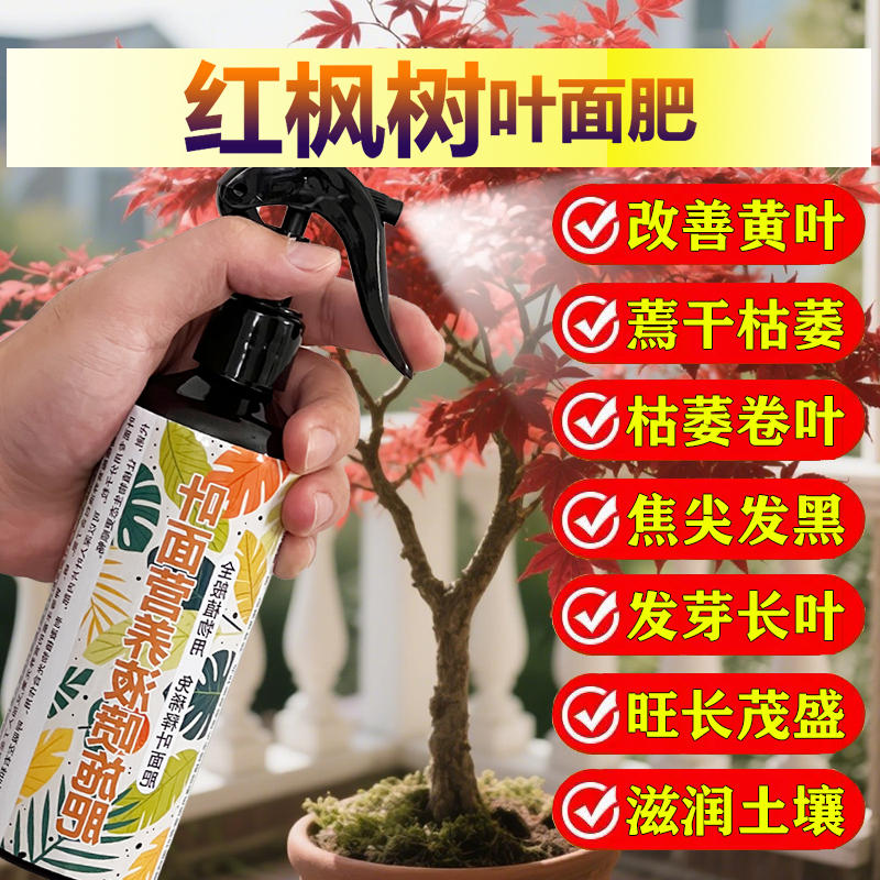 红枫树专用肥料盆景羽毛枫黄金流泉枫金隐秋月土壤营养液叶面肥料