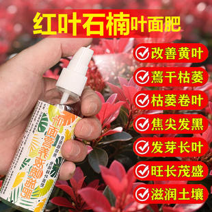紅葉石楠專用肥料石楠樹營養(yǎng)液氮磷鉀有機肥盆栽種植土壤水溶化肥