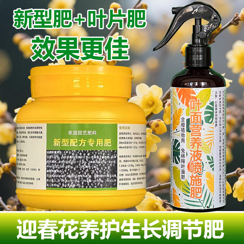 迎春花专用肥料花肥营养液叶子卷曲发黄焦尖干枯萎蔫锈斑叶面肥料
