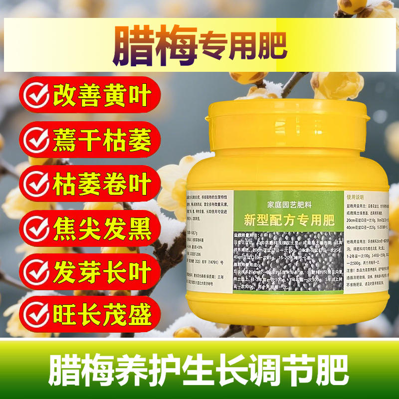 腊梅专用肥料腊梅花营养液叶子发黄干枯发蔫黑斑焦尖卷曲叶面肥料